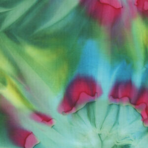 COLOR CRUSH BATIKS RAINBOW 4363-20