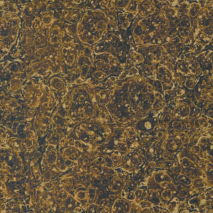 CURATED IN COLOR BROWN 7462-19