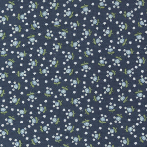 NANTUCKET SUMMER NAVY 55266-13